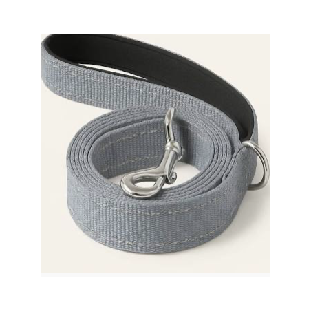 pack balade chien